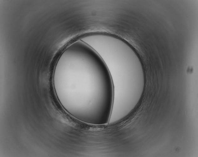 X0000093240440200709261533