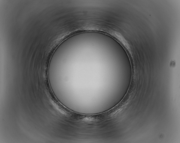 X0000093240441200709261533
