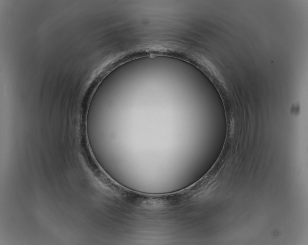 X0000093240444200709261533