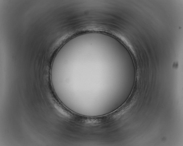 X0000093240445200709261533