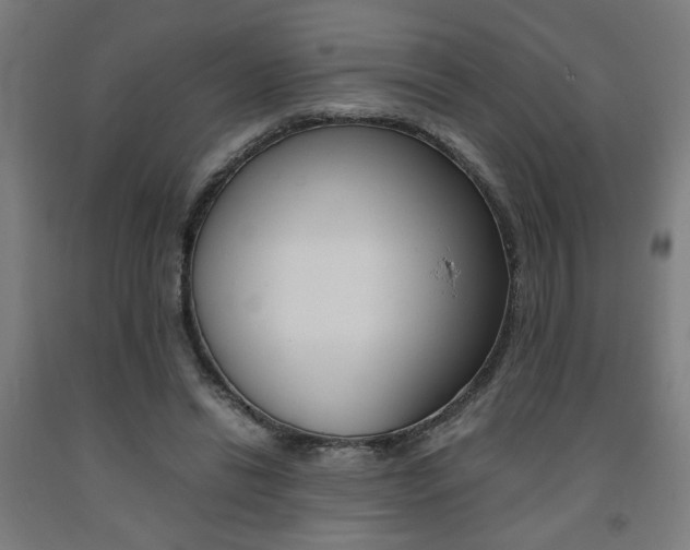 X0000093240446200709261533