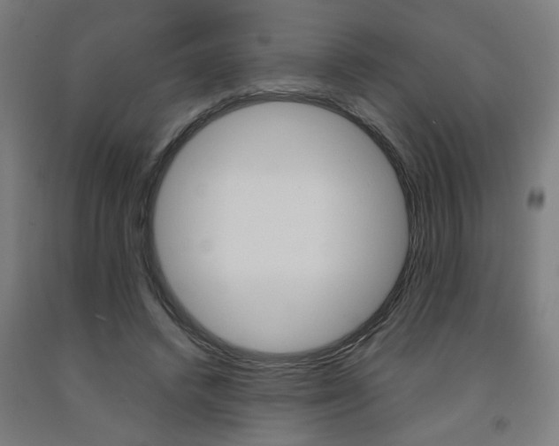 X0000093240448200709261533