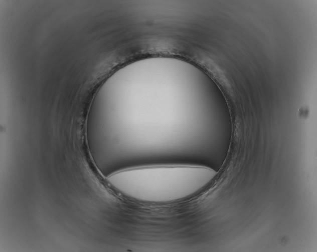 X0000093240449200709261533