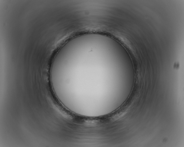 X0000093240450200709261533