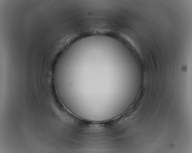 X0000093240451200709261533