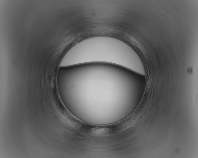X0000093240452200709261533