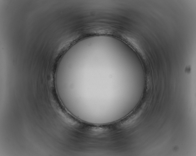 X0000093240453200709261533