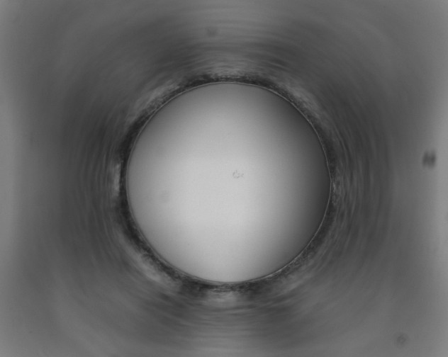 X0000093240454200709261533