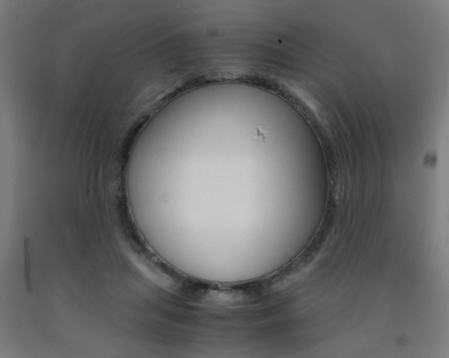 X0000093240455200709261533