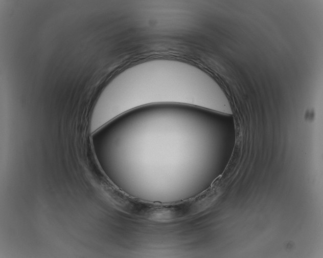X0000093240456200709261533