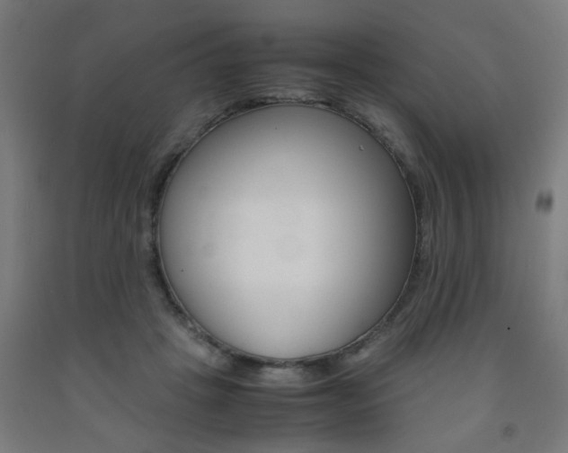 X0000093240457200709261533