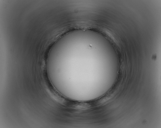 X0000093240459200709261533