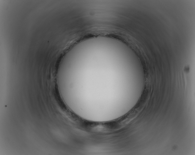 X0000093240460200709261533