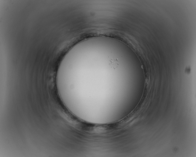 X0000093240462200709261533