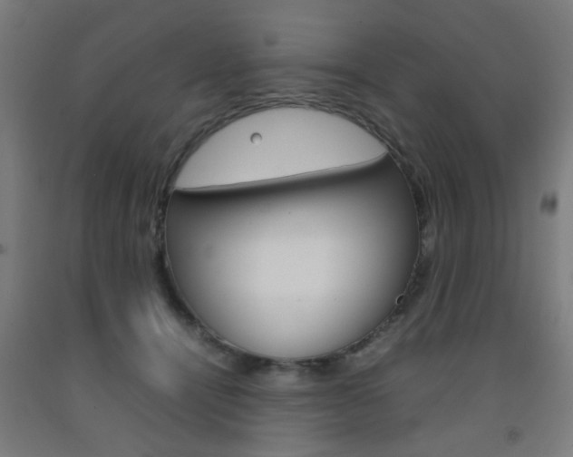 X0000093240464200709261533