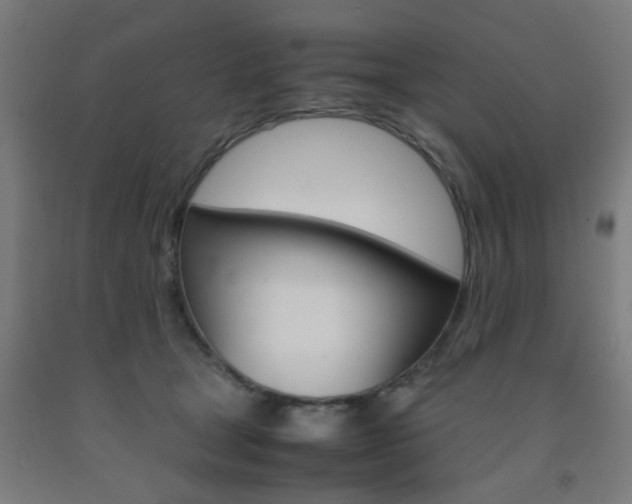X0000093240465200709261533