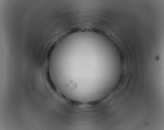 X0000093240468200709261533