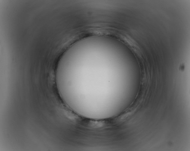X0000093240469200709261534