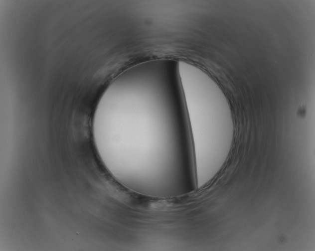 X0000093240470200709261534