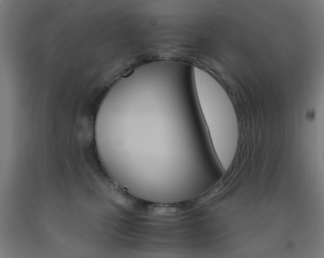 X0000093240471200709261534