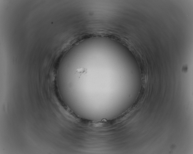 X0000093240472200709261534