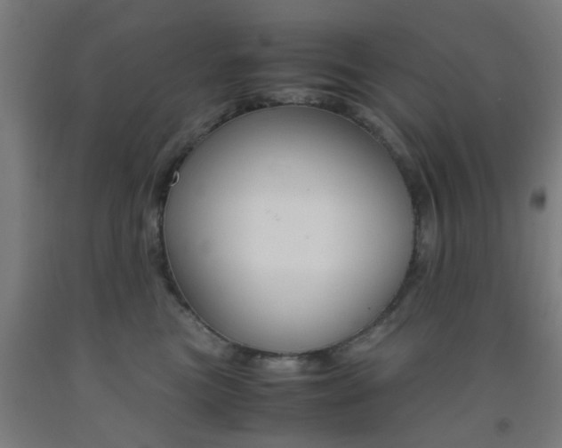 X0000093240473200709261534