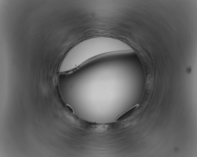 X0000093240474200709261534