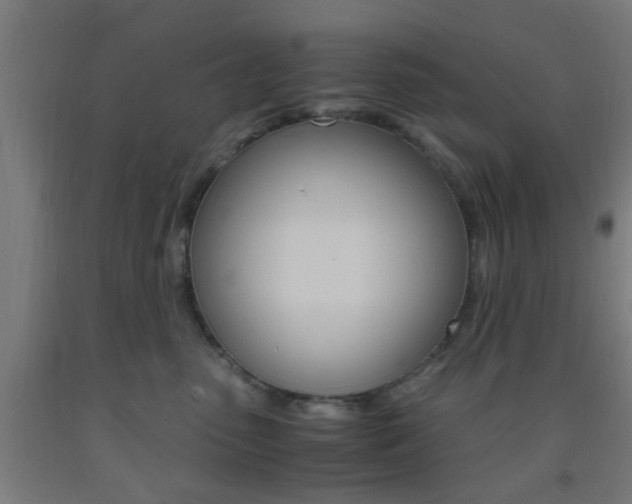 X0000093240475200709261534