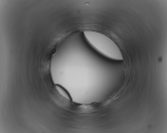 X0000093240477200709261534