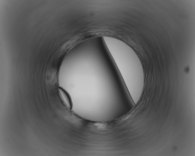 X0000093240478200709261534