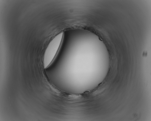 X0000093240480200709261534