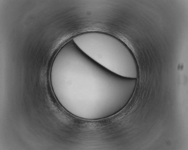 X0000093240482200709261533