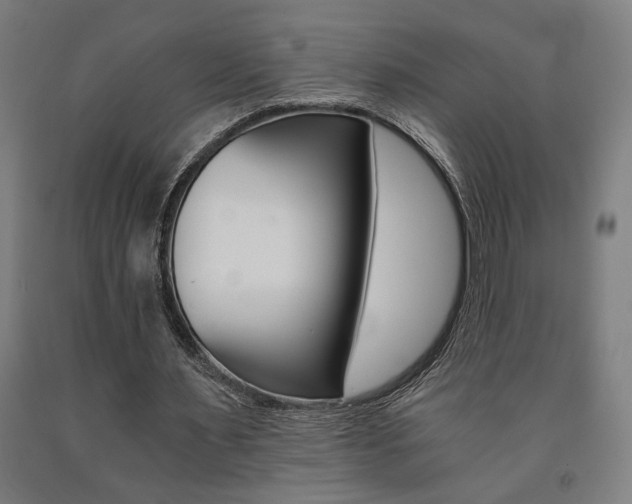 X0000093240483200709261533