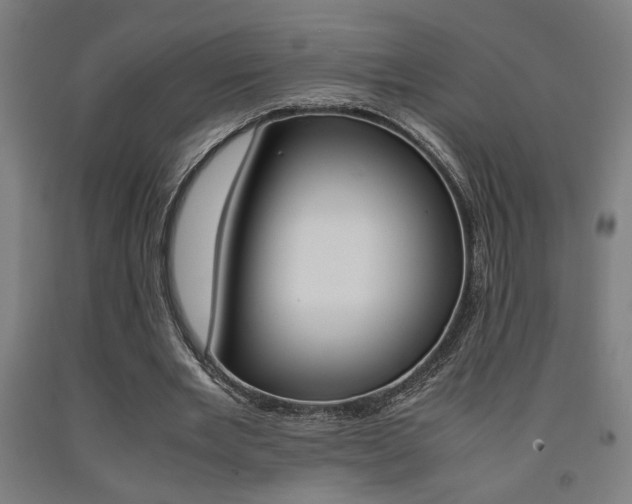 X0000093240485200709261533