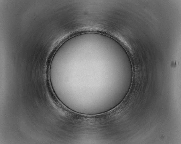 X0000093240486200709261533