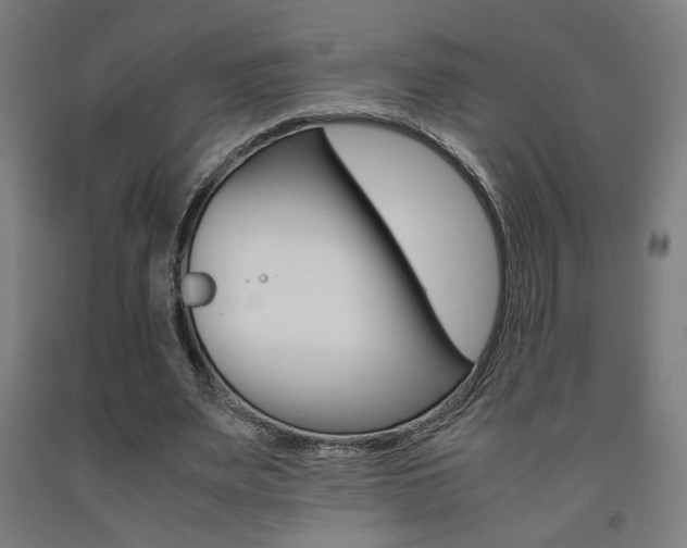 X0000093240487200709261533