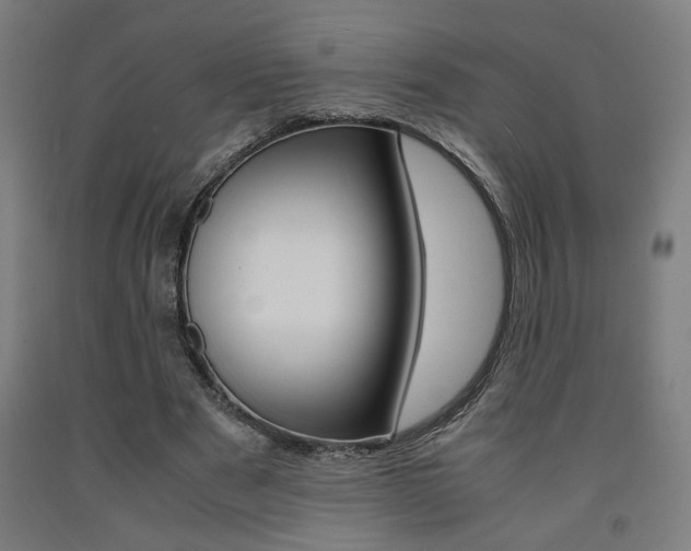 X0000093240489200709261533