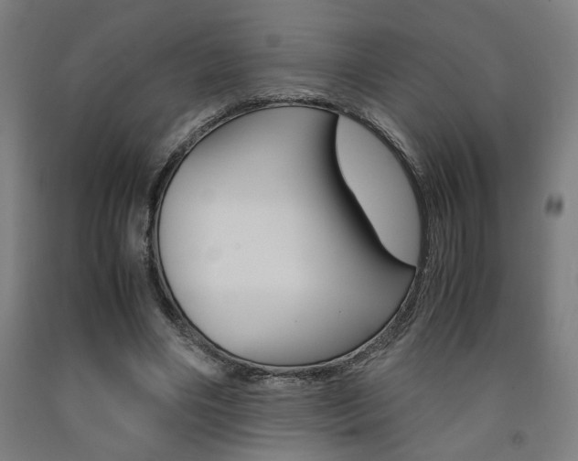 X0000093240490200709261533