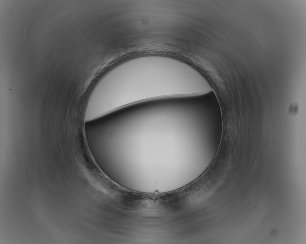 X0000093240496200709261533