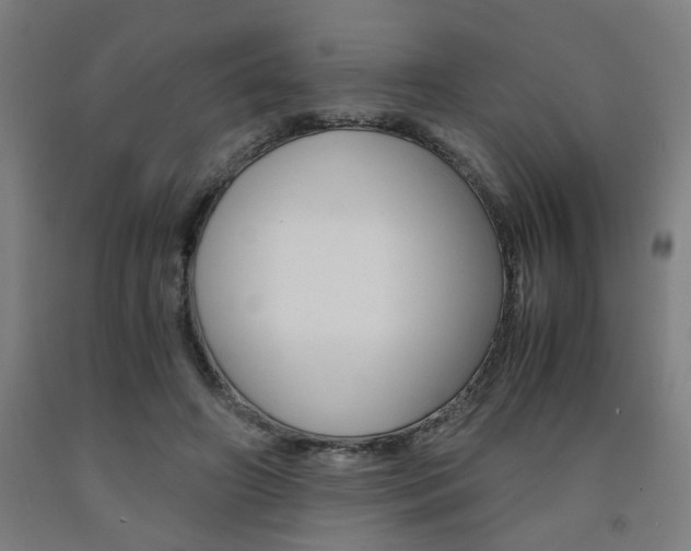 X0000093240498200709261533