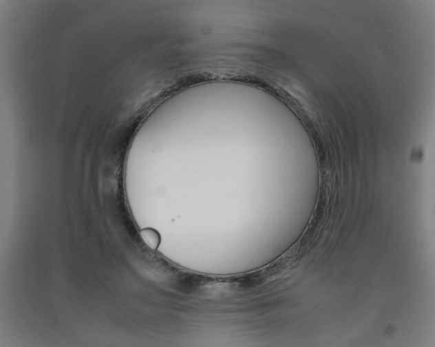 X0000093240499200709261533