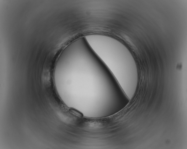 X0000093240500200709261533