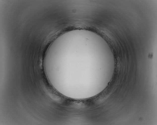 X0000093240502200709261533