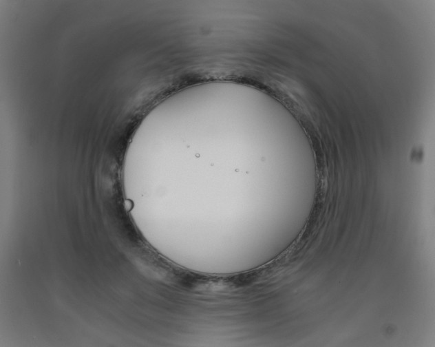 X0000093240503200709261533