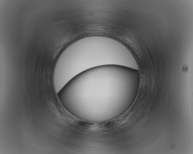 X0000093240504200709261533