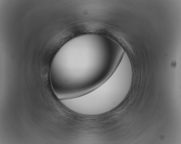 X0000093240505200709261533