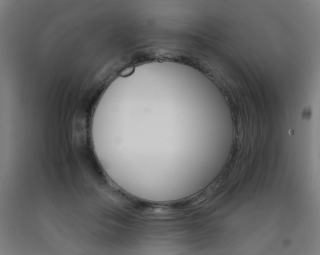 X0000093240506200709261533