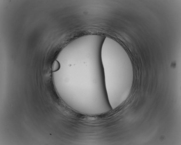 X0000093240507200709261533