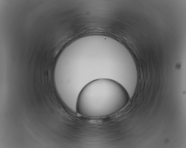 X0000093240508200709261533