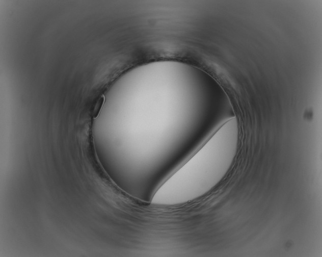 X0000093240509200709261533